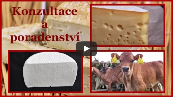 Videa poradenství